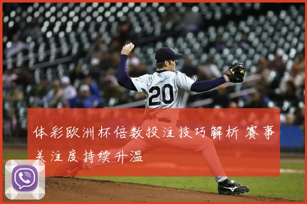 体彩欧洲杯倍数投注技巧解析 赛事关注度持续升温