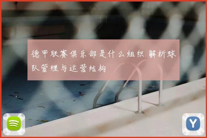 德甲联赛俱乐部是什么组织 解析球队管理与运营结构