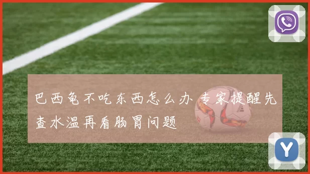 巴西龟不吃东西怎么办 专家提醒先查水温再看肠胃问题